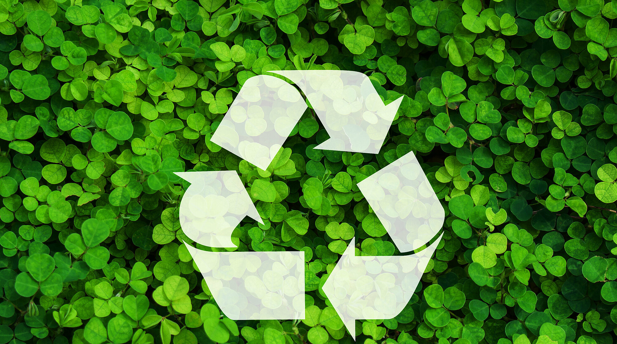 Recycling-Zeichen, im Hintergrund grüne Blätter